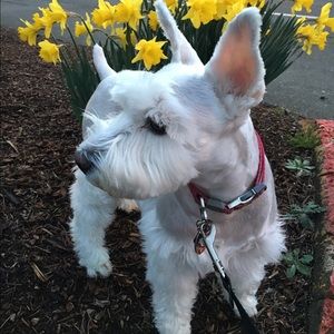 Meet your Posher, Jenny