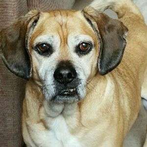 Meet your Posher, Anne