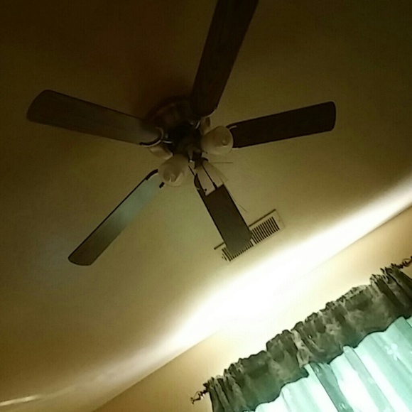 Meet your Posher, Nora - Picture 1 of 1