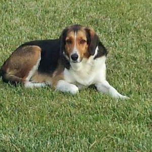 Meet your Posher, Barbara b j