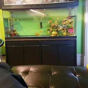 Meet your Posher, Ken