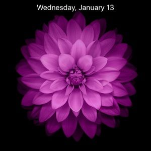 Meet your Posher, Christy