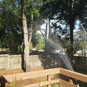 Meet your Posher, Amarilis