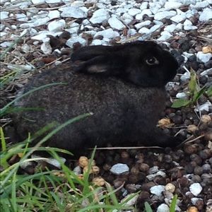 Meet your Posher, Gary