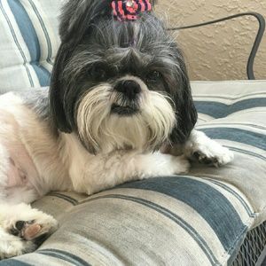 Meet your Posher, Anna