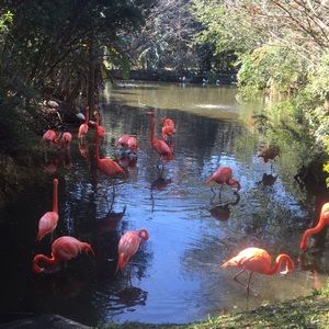 Meet your Posher, Yun