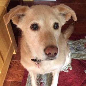 Meet your Posher, Tina