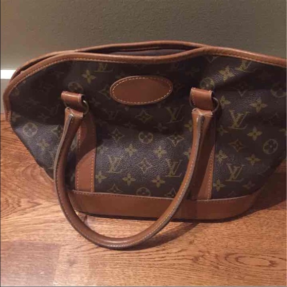 Authentic Louis Vuitton Dog Carrier