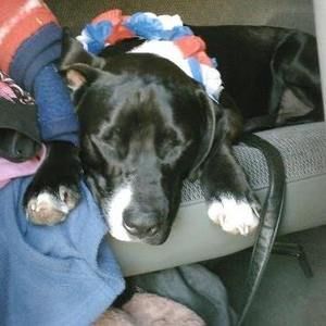 Meet your Posher, Cindi