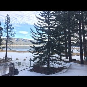 Meet your Posher, Henry