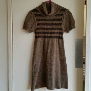 Turtle Neck Sweater Dress
