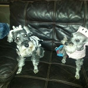 Meet your Posher, Tessa