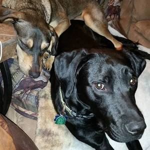 Meet your Posher, Kris