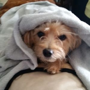 Meet your Posher, Regina