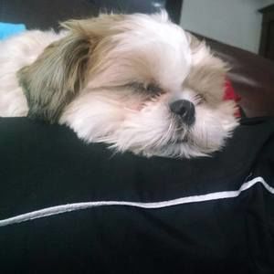 Meet your Posher, Tanya