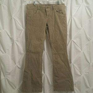 American Eagle Tan Corduroys