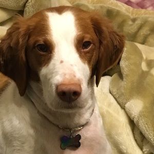 Meet your Posher, Mariana