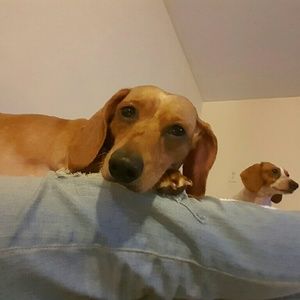 Meet your Posher, Monica