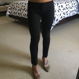 loft marisa skinny petite