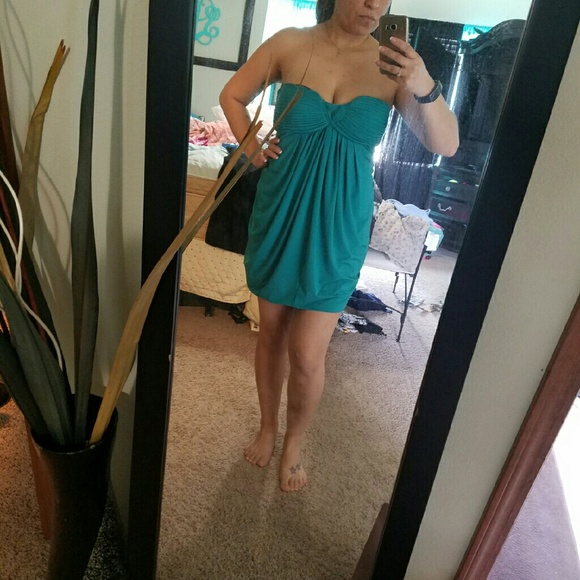 Medium to large tortoise dress