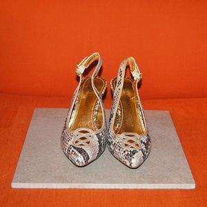 Laura Ashley LA-Abbots Leopard print pumps