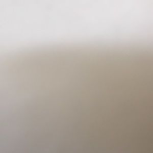 Meet your Posher, Toni