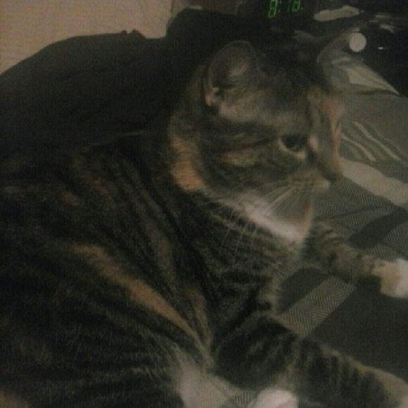 Meet your Posher, Stephanie - Picture 1 of 1