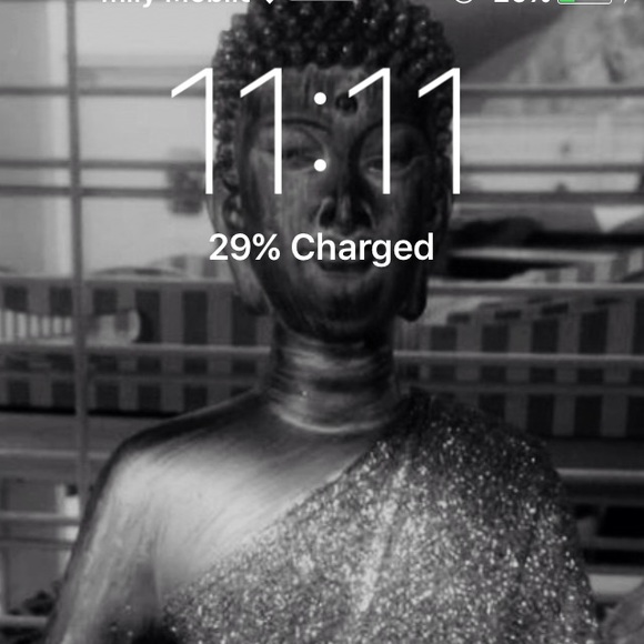 Meet your Posher, Colbie - Picture 1 of 1