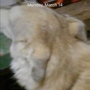 Meet your Posher, Joe