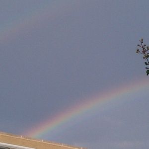 Meet your Posher, Zinna