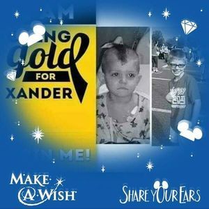 Meet your Posher, Debbie