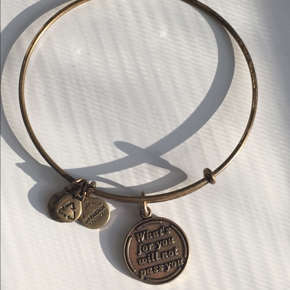 Alex & Ani charm bangle