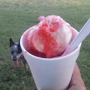 Meet your Posher, Monique