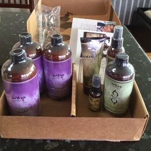 WEN hair care kit