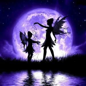 Meet your Posher, Christy