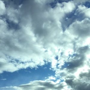 Meet your Posher, Norma