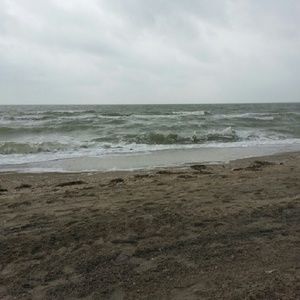 Meet your Posher, Yvonne