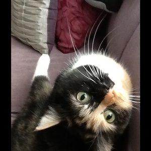 Meet your Posher, Jean