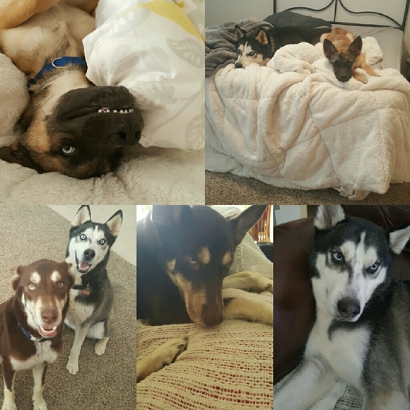 Meet your Posher, Brianna - Picture 5 of 7