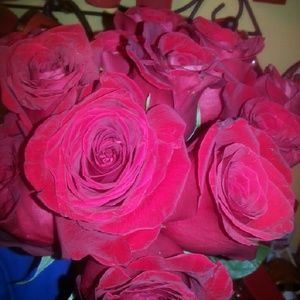 Meet your Posher, Stacy