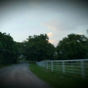 Meet your Posher, Bonnie