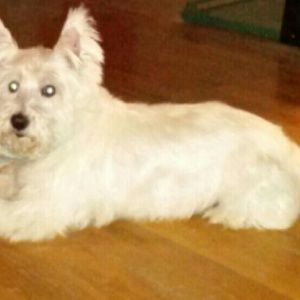 Meet your Posher, Selica