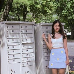 Asos Daisy A Line skirt