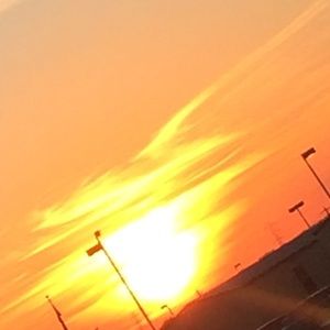 Meet your Posher, Layla