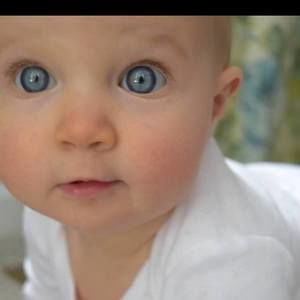 Meet your Posher, Joyce