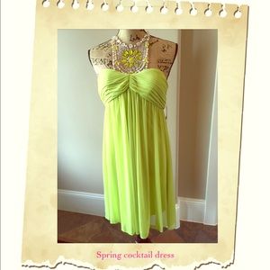 Adrianna Papell collection cocktail dress