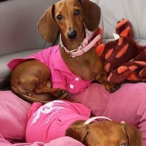 Meet your Posher, Barbara