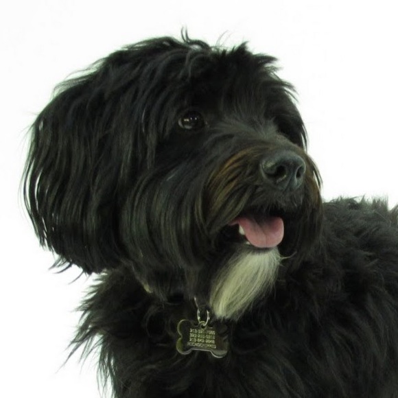 Meet your Posher, Jill - Picture 1 of 1