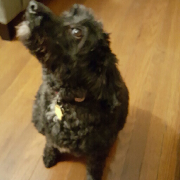 Meet your Posher, Erin - Picture 1 of 1