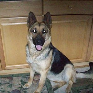 Meet your Posher, Mary